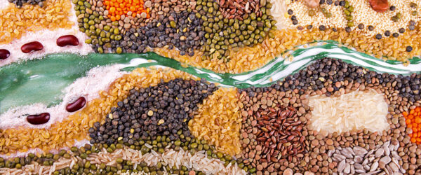 Crop Art: How to Create Stunning Seed Designs