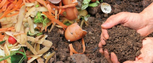 Why You Should Compost & How To Start Today