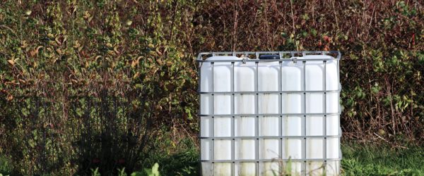 Use An IBC Instead Of Barrels To Store Rain Water