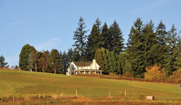 Ask These Questions Before Purchasing Farmland - Hobby Farms