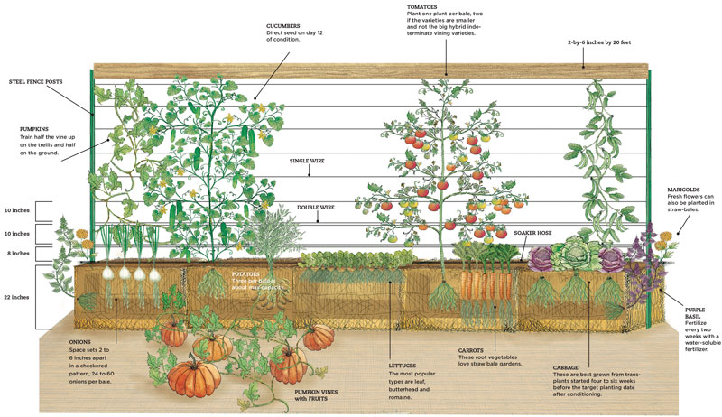 straw bale garden gardening