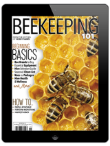 beekeeping digital print