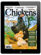 chickens-march/april 2022 digital issue