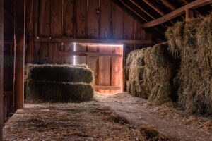 What to Do With Old Hay: 4 Smart Uses