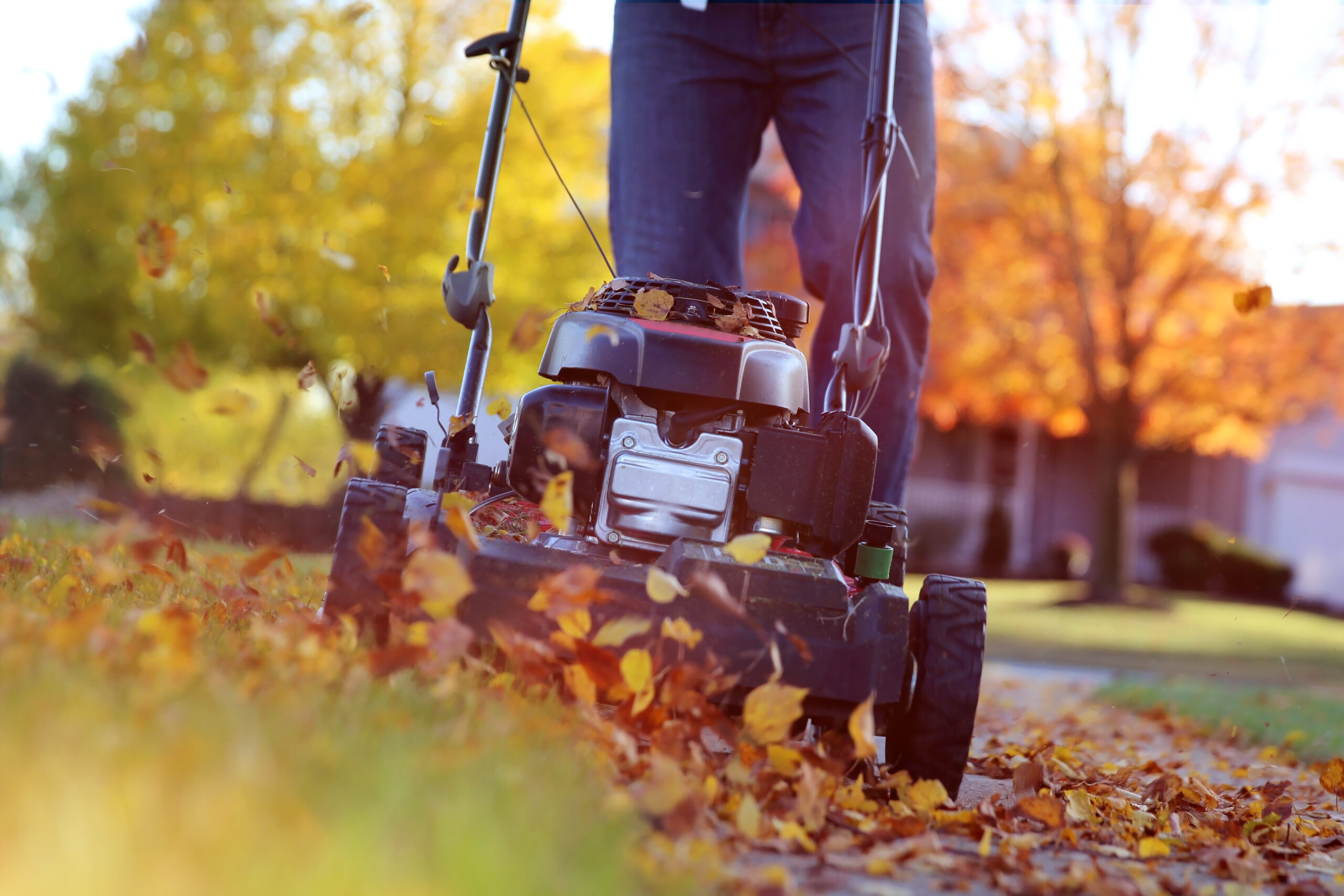 mowing lawn covered with fall leaves