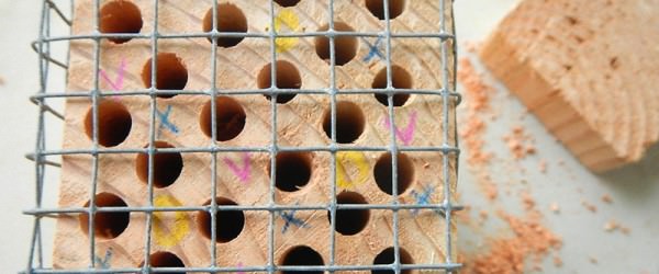 Make A Mason Bee House