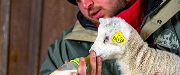 When Mother’s Milk Isn’t Available, Use Milk Replacers