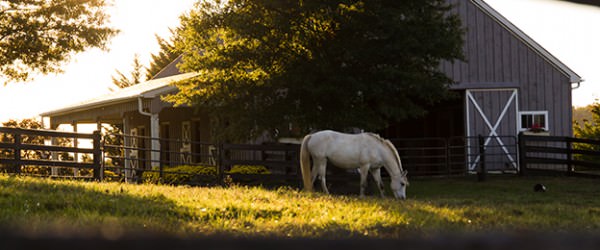 A Beginning Farmer’s Checklist For Buying A Small Farm