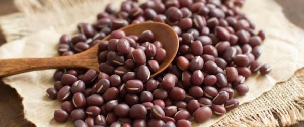 Azukis Beans