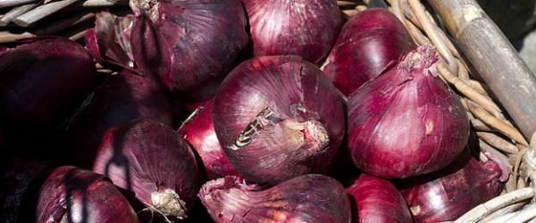 Red Onions
