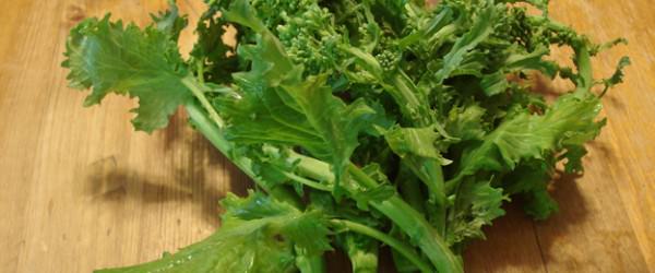 Broccoli Rabe