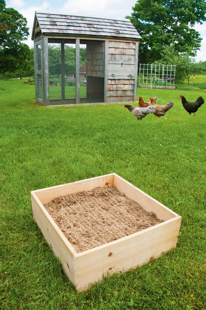 DIY Dust Bath For Your Chickens Hobby Farms