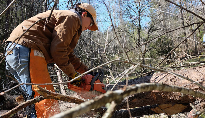 chain saw