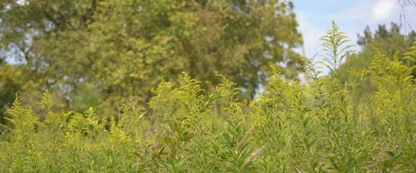 That Moment Before Everything Changes