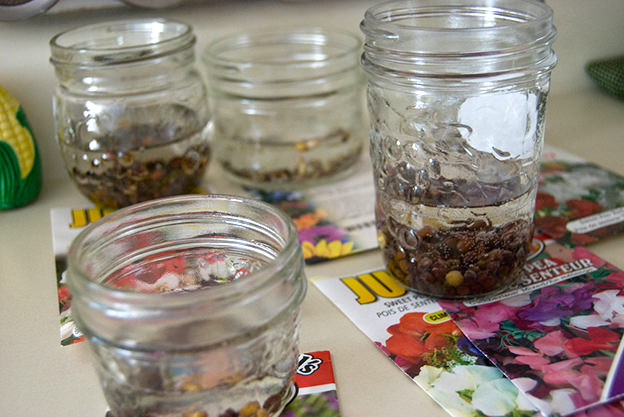 seeds soaking