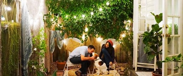 Tiny Home Inspiration: Bring Your Plants Indoors