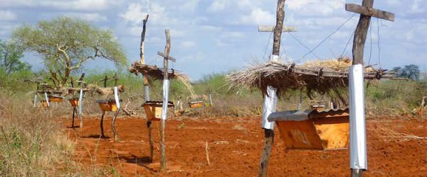 Guard Bees Are Here To Save The Day