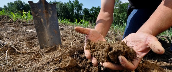 Surprise! This Is What’s Happening In Your Soil