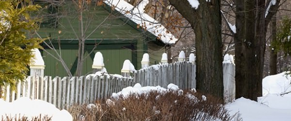6 Tasks For Winterizing Your Landscape