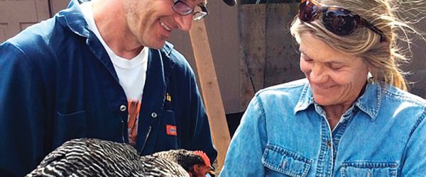 A New Spin On Sustainable Chicken Keeping