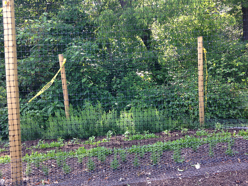 deer fencing