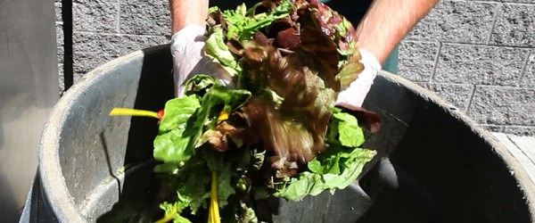 There’s More Food Waste Than You Think, Farmers Say