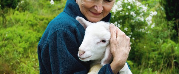 Make Your Property a Farmcation Destination