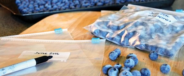 What You Need To Know Before Freezing The Harvest