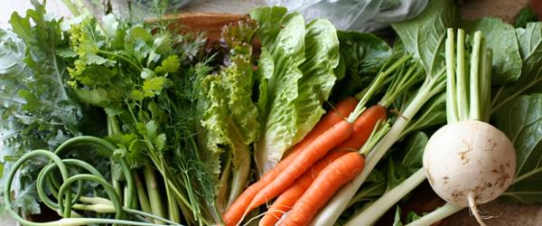 Are You Charging Enough For Your CSA?