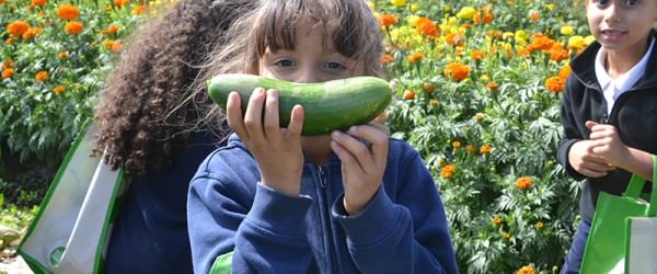 7 Farm Tour Rules For Kids