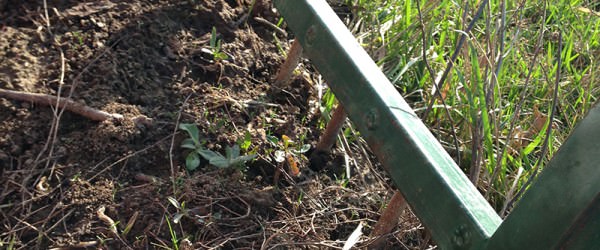 What Does No-Till Actually Mean?