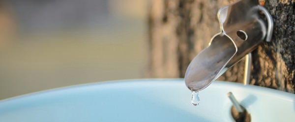 A Peek At Maple Syrup Making From Vermont’s Sugarbush Farm