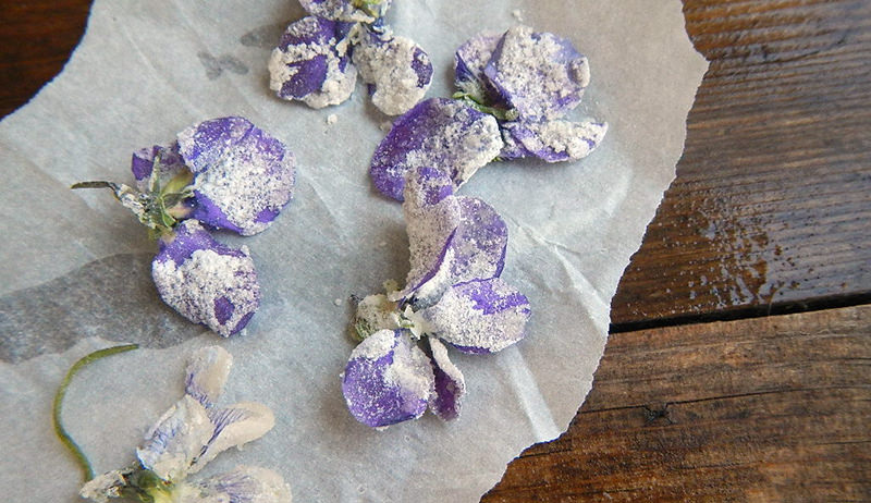 candied violets