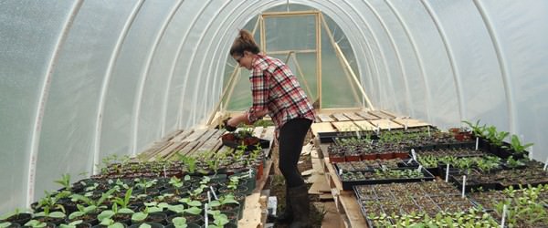 5 Places to Look For Farm Grants