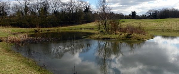 Aquaculture Farming Basics