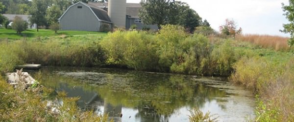 Manage Fish-Friendly Farm Ponds