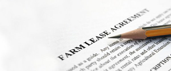 Rent Your Land with Sustainability in Mind