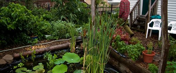 6 Permaculture Techniques Beyond Gardening