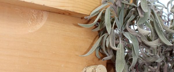 How To Pollinate Your Greenhouse with Honey Bees