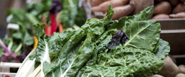 6 Tools to Keep Vegetables Fresh Through Market Day