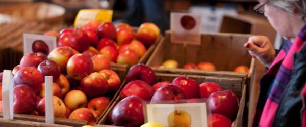 5 Tips for Shopping the Winter Farmers’ Market