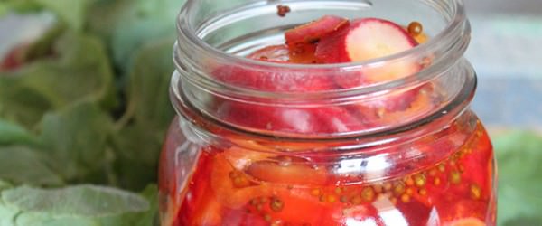 Bread-and-Butter Pickled Radishes