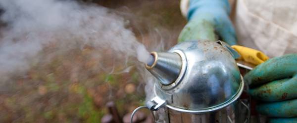 Why Do Beekeepers Smoke Their Hives?