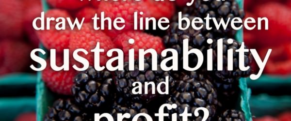 Burning Question: Where Do You Draw the Line Between Sustainability and Profit?