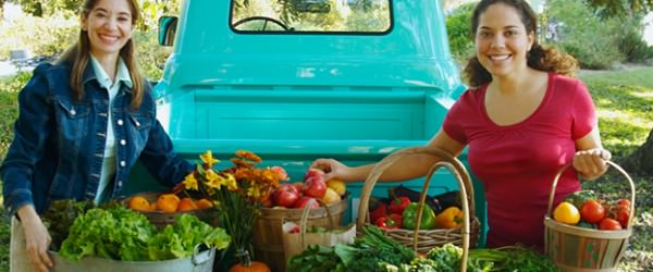 6 Legal Tips For Starting Your Farm Business