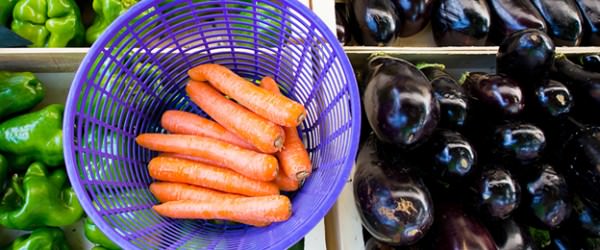 5 Pro Tips For Beginning Farmers