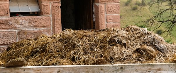 Everyone Poops—What Matters Is How You Handle It