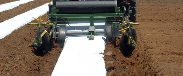 Prevent Disease and Dried-out Soil with Plasticulture