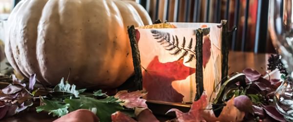 Preserving Fall Leaves For Decoration