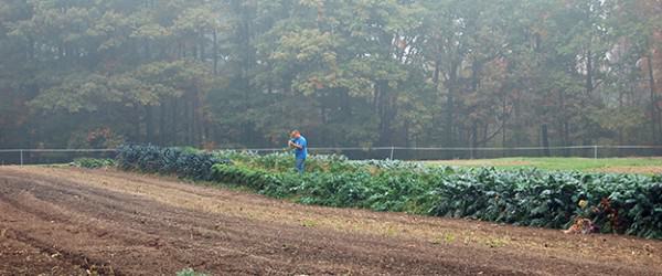 New Food Safety Rules For Your Farm